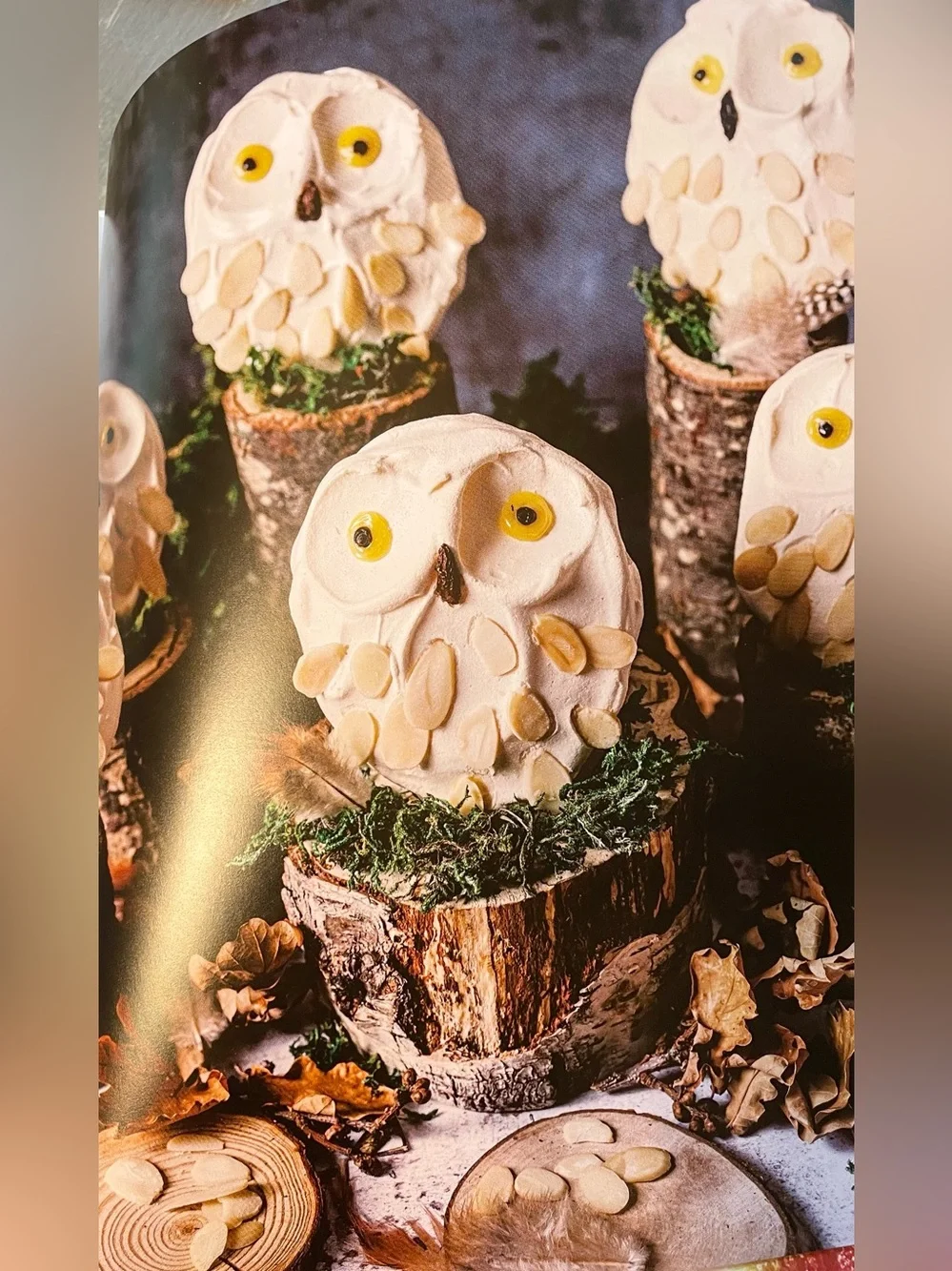 Official Harry Potter Cookbook & Harry Potter Baking Book - Hardcover
